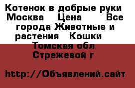 Котенок в добрые руки. Москва. › Цена ­ 5 - Все города Животные и растения » Кошки   . Томская обл.,Стрежевой г.